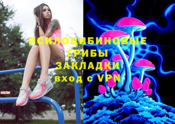 mdpv Заводоуковск