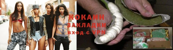 амф Пестово