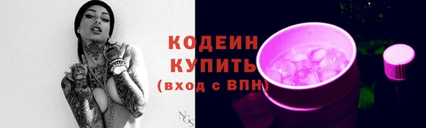 дживик Шадринск