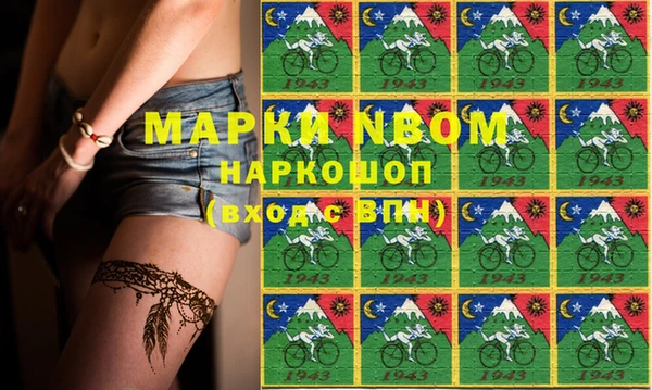 амф Пестово