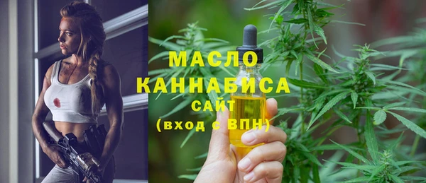 амф Пестово